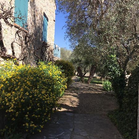 Clos De La Gipiere Montauroux Exteriér fotografie